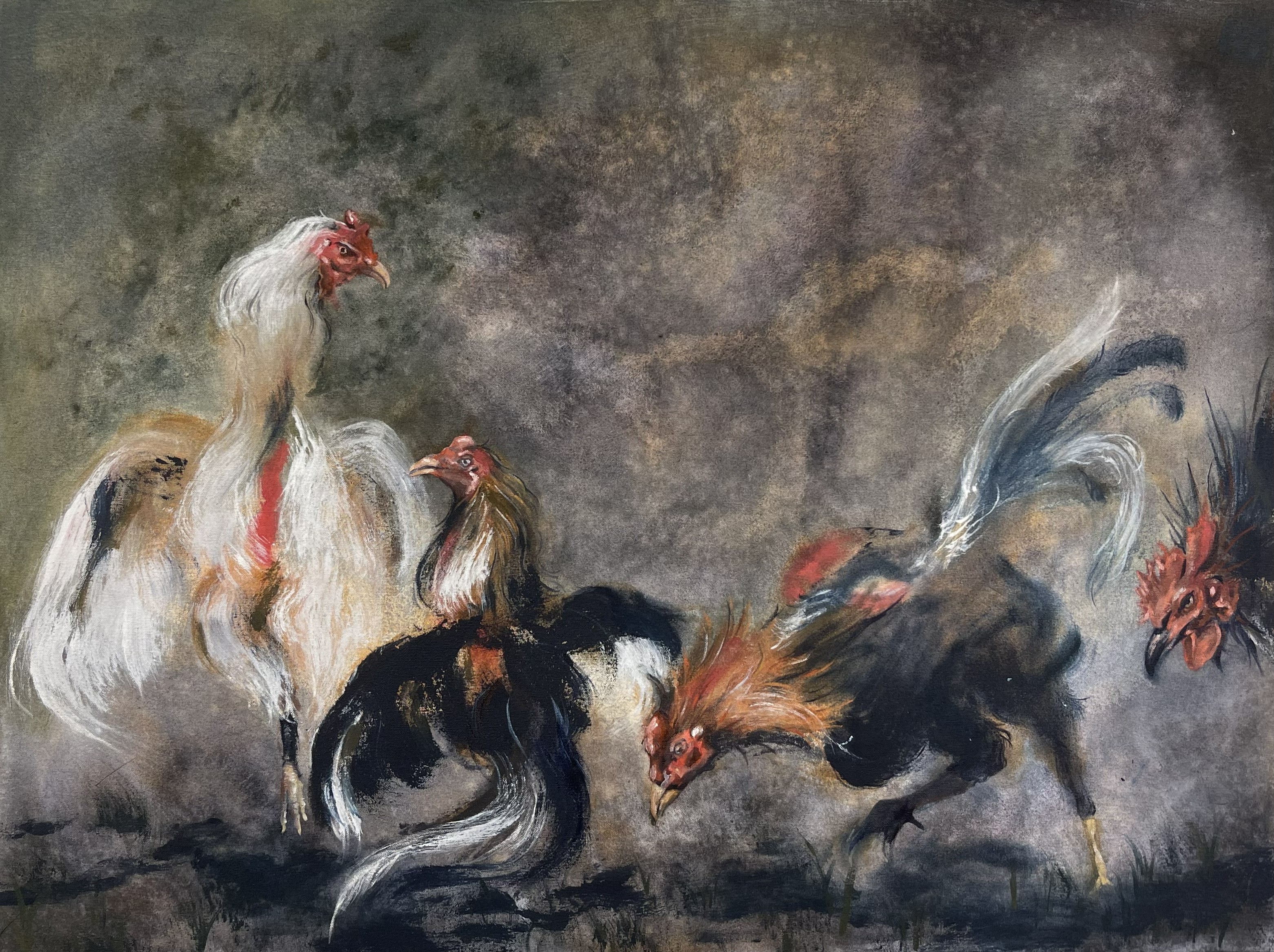 Fighting Roosters