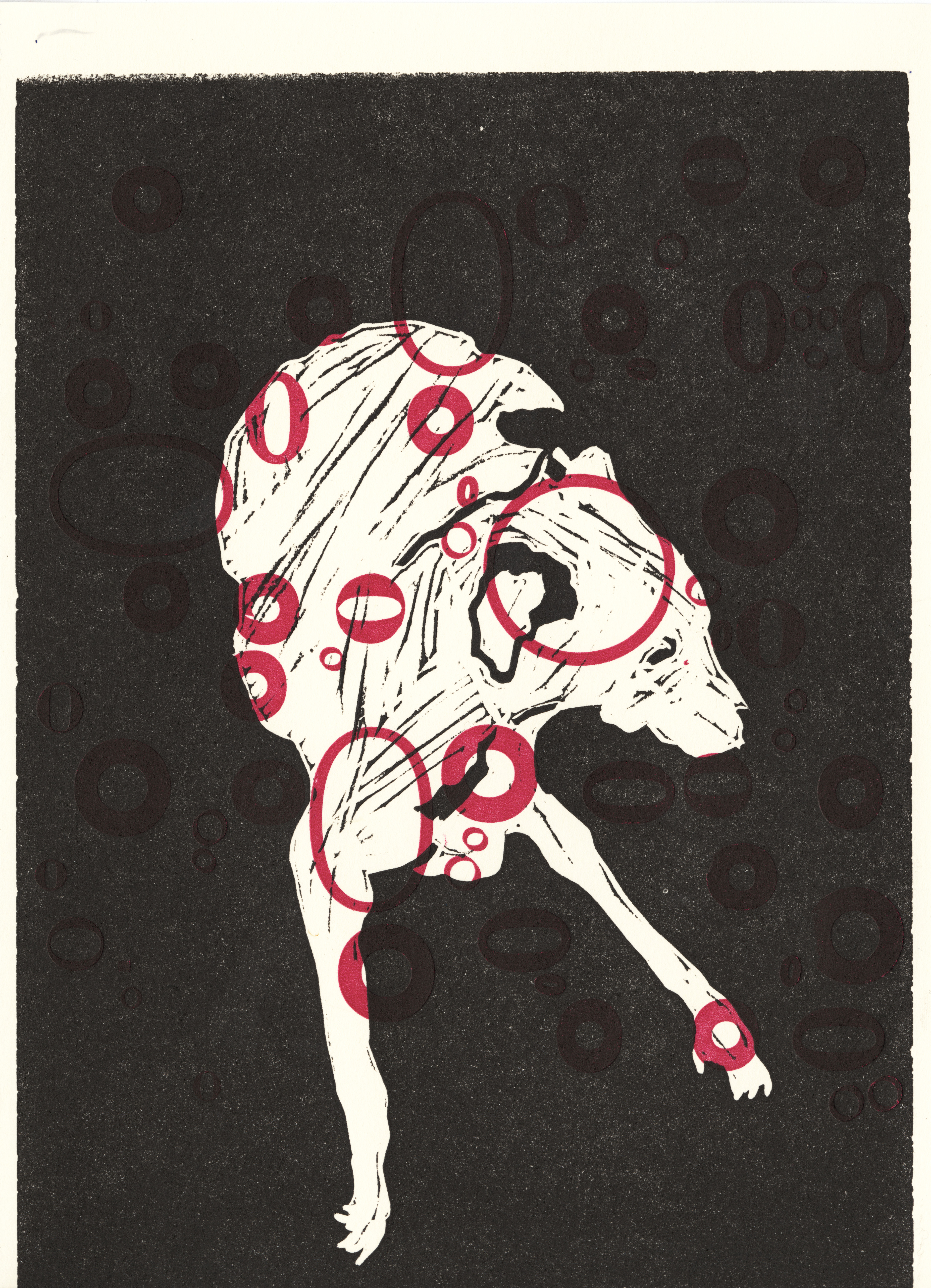 Dragonfruit Dalmatian no.1